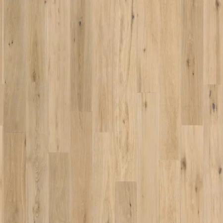 Nuvelle Hardwood Sea Harbor Macaroon