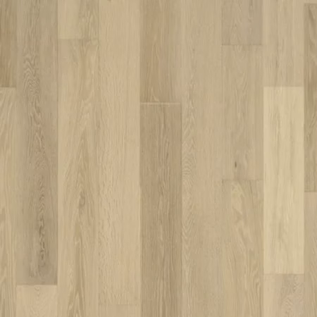 Nuvelle Hardwood Sea Harbor Sand Dollar