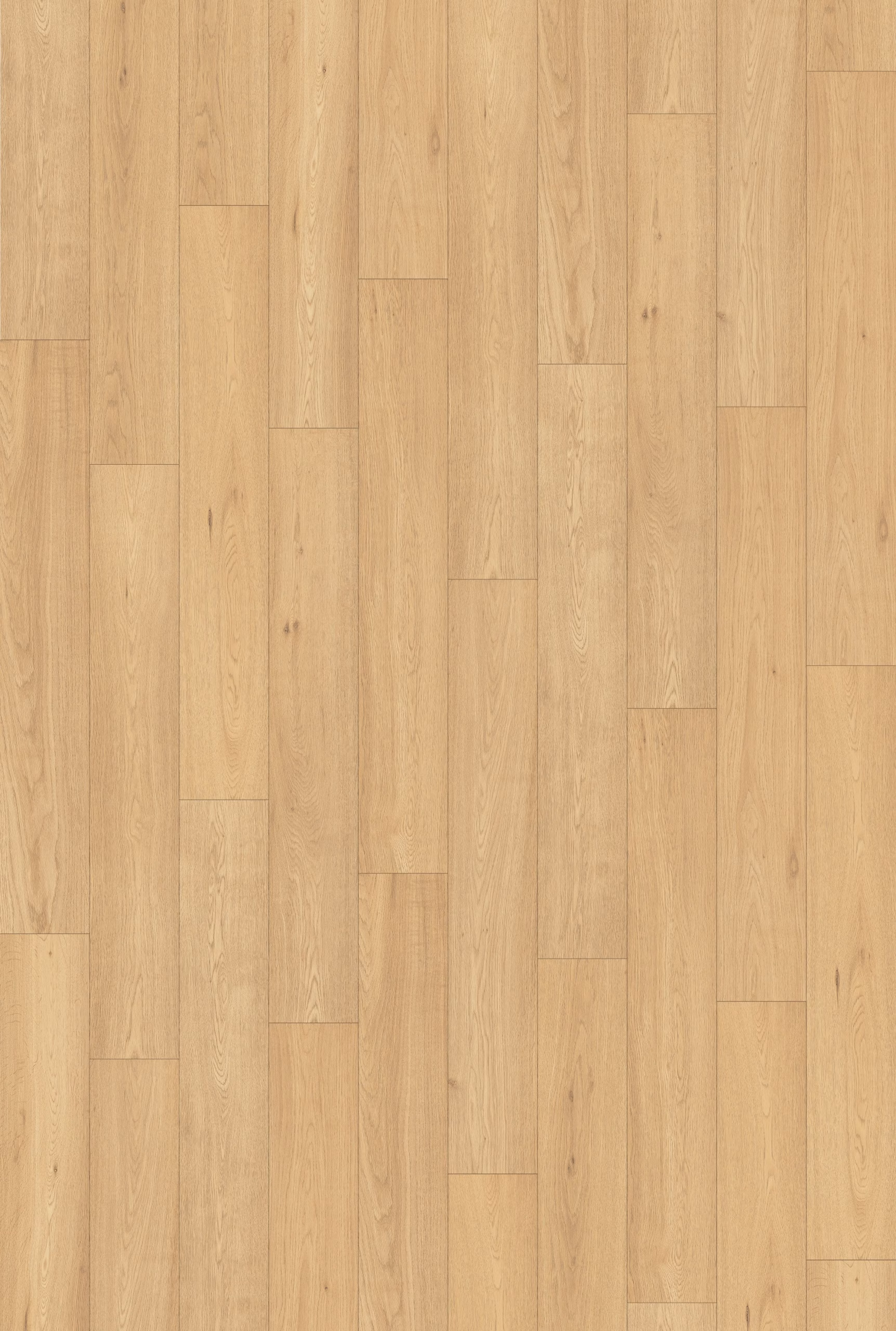 Chesapeake Timber Design Virella laminate flooring