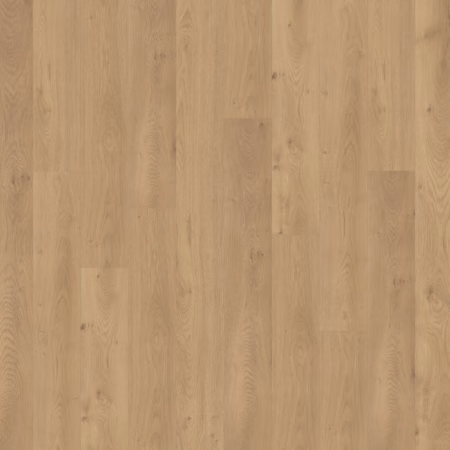 Chesapeake Freedom Grassland laminate flooring