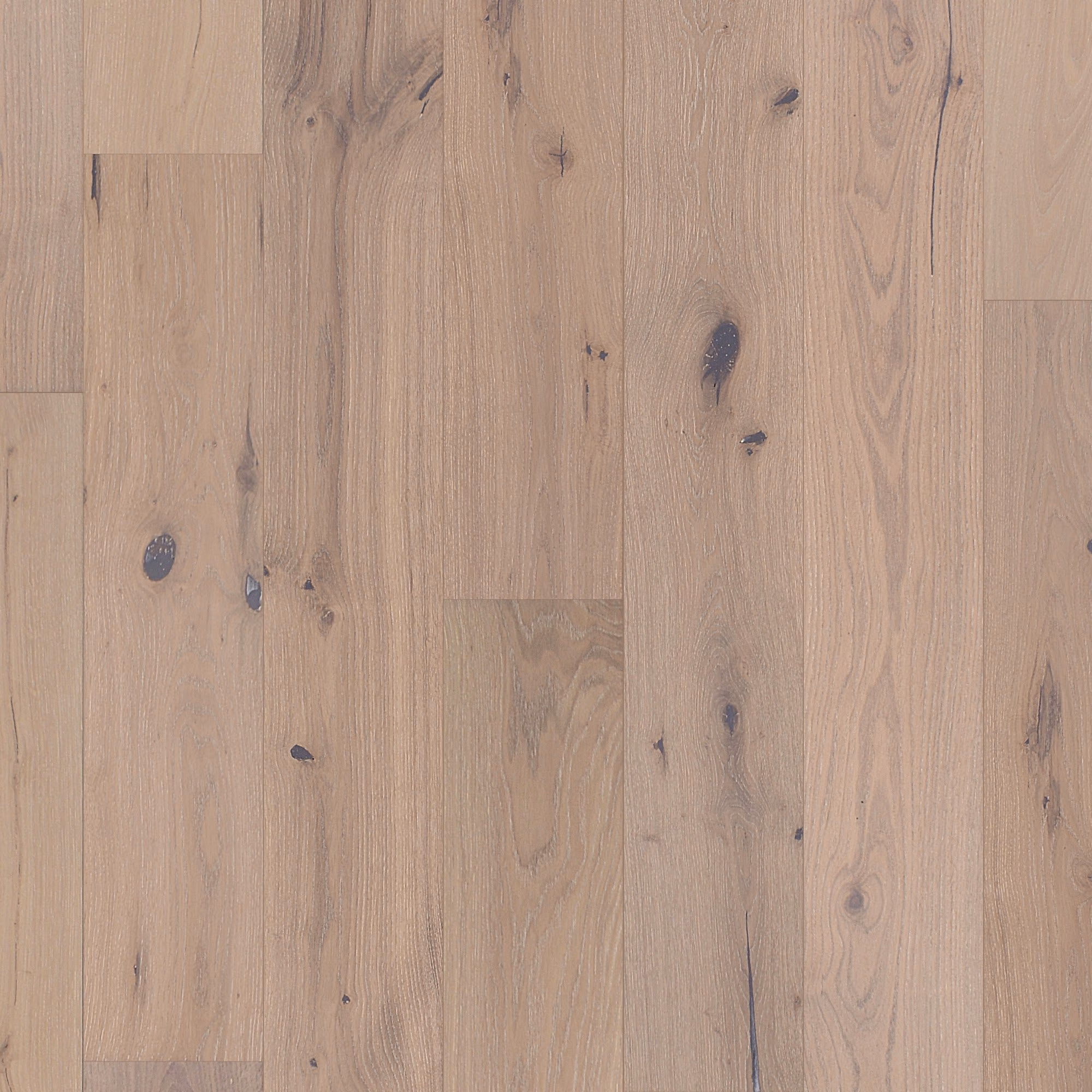 Chesapeake Chemistry Catalyst hardwood flooring