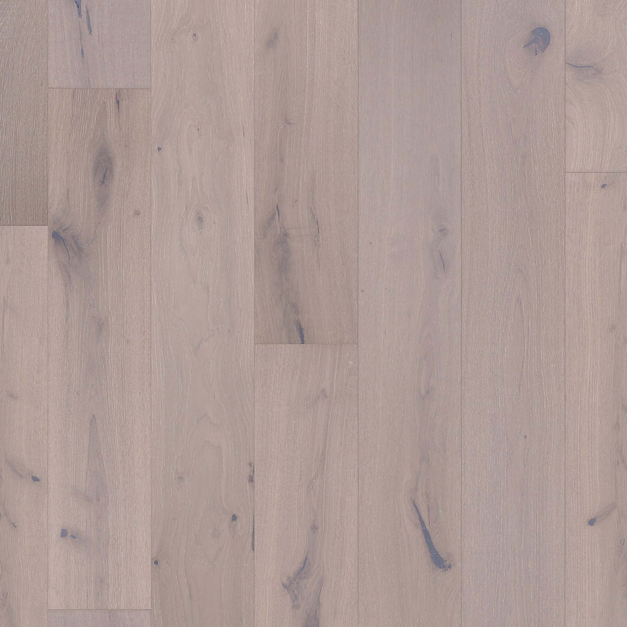 Chesapeake Chemistry Quantum hardwood flooring