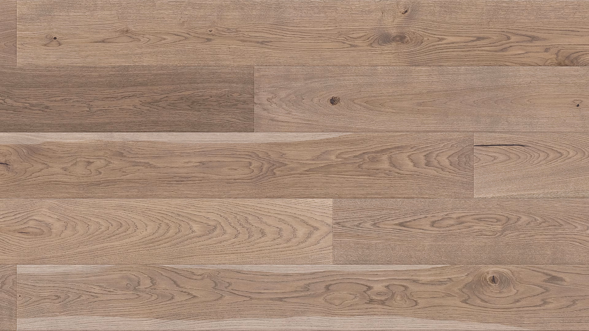Barlinek Mocha Oak 8" - Image 2