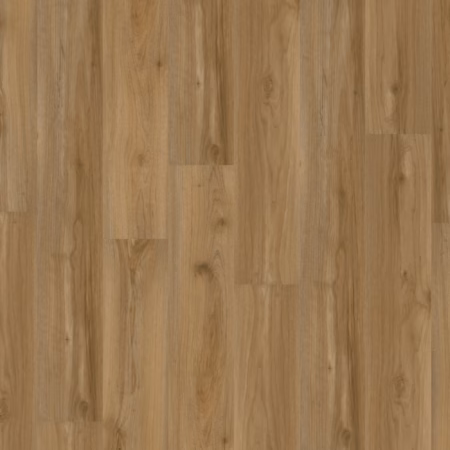 Earthwerks Chassis Advantage SPC Plus Backbone vinyl flooring color and grain