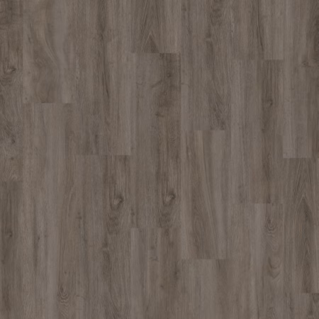 Earthwerks Chassis Advantage SPC Plus Motorcoach vinyl flooring color and grain