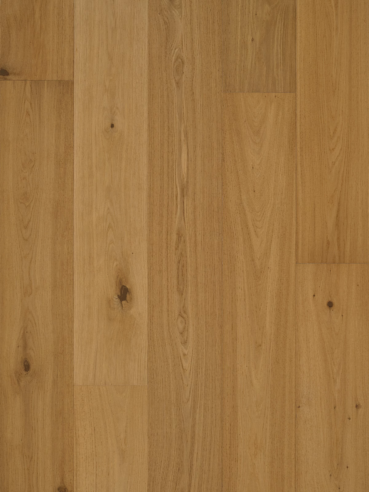 Alta Prima Newport Sand - Image 2