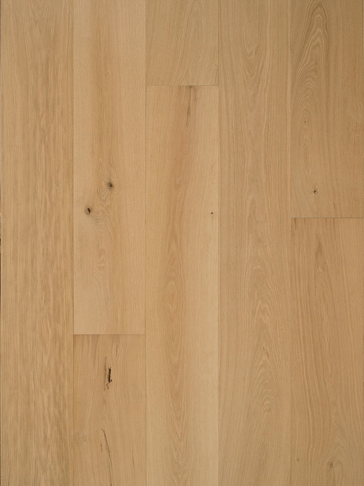 Alta Prima Venice Beige - Image 2