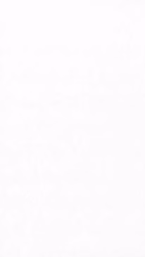 Eurocraft Luxe Blanco PE cabinet door