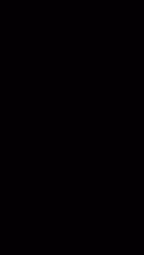Eurocraft Zenit Black cabinet door