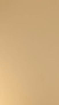 Eurocraft Zenit Light Gold MP cabinet door