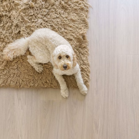 Bjelin Woodura Powder White Oak XXL Select